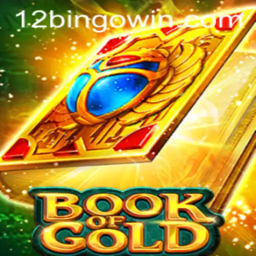 Exploring the Exciting World of BookofGold and 12Bingo