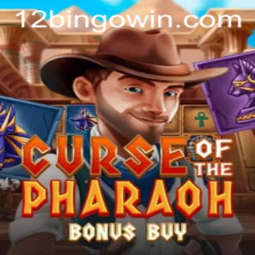 Exploring the Thrills of Curse of the Pharaoh Bonus Buy and the Excitement of 12Bingo