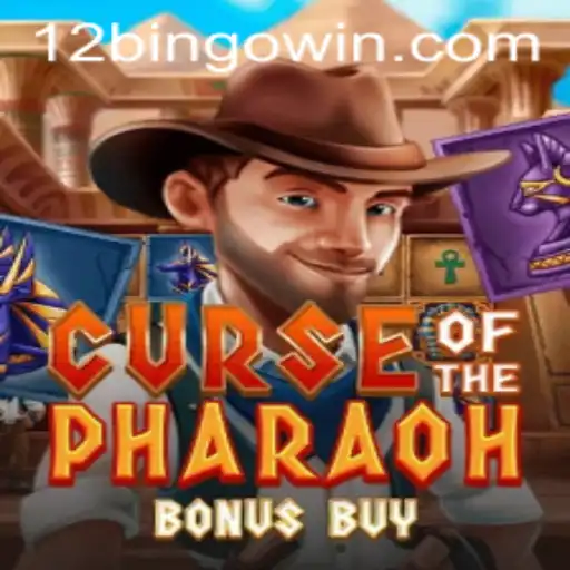 Exploring the Thrills of Curse of the Pharaoh Bonus Buy and the Excitement of 12Bingo