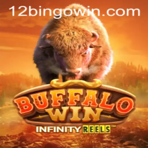 Exploring BuffaloWin: The Ultimate 12Bingo Experience