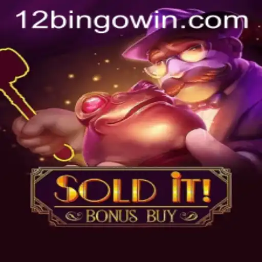 Exploring SolditBonusBuy: The Thrill of 12Bingo